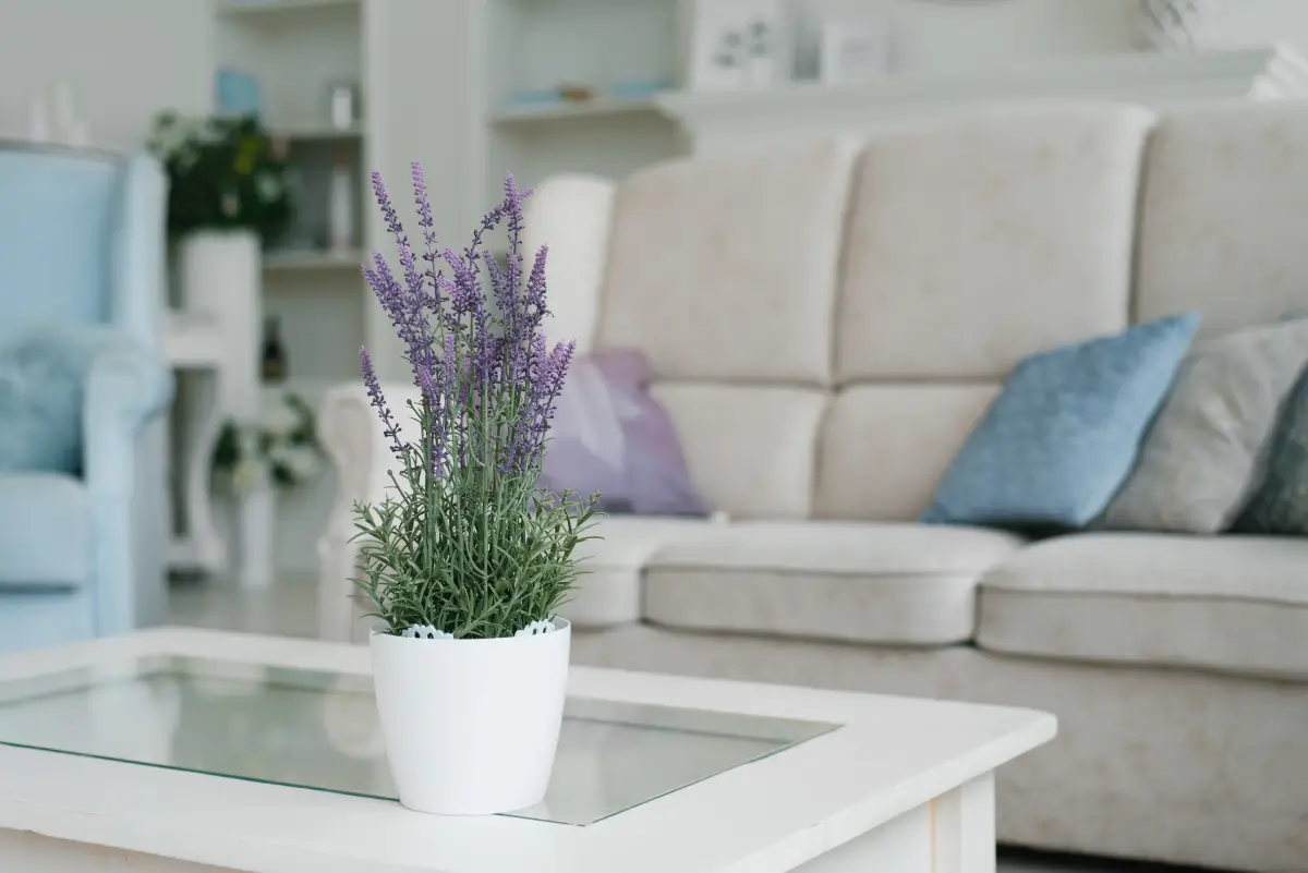 Budgeting Smarter for Rental Success in Rogers